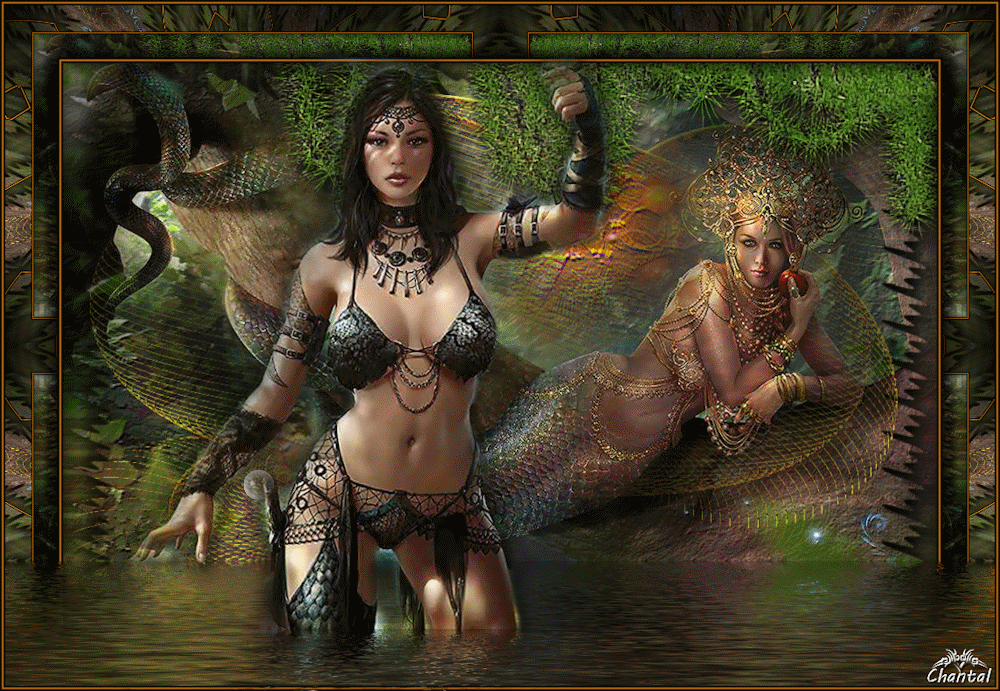 Nouvelle créa: Jungle 